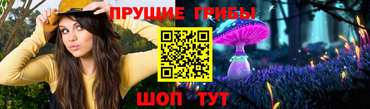 Псилоцибиновые грибы Psilocybine cubensis  Вход с VPN  Можга 